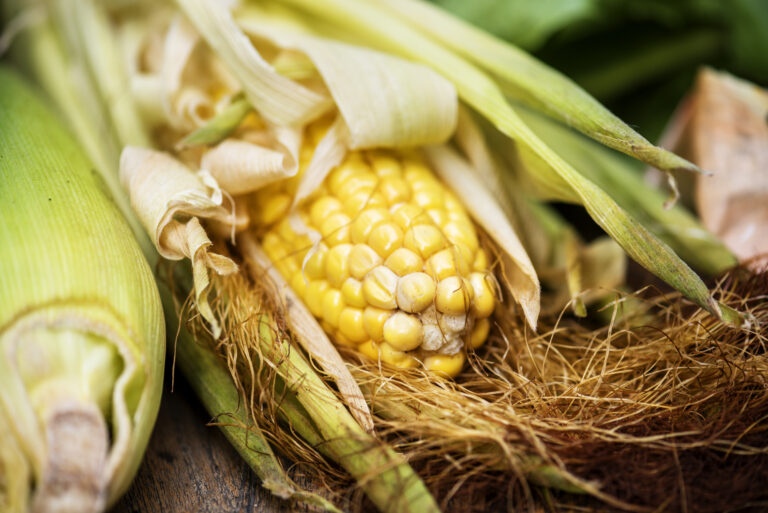 Aerial view of sweencorn cob on wooden background